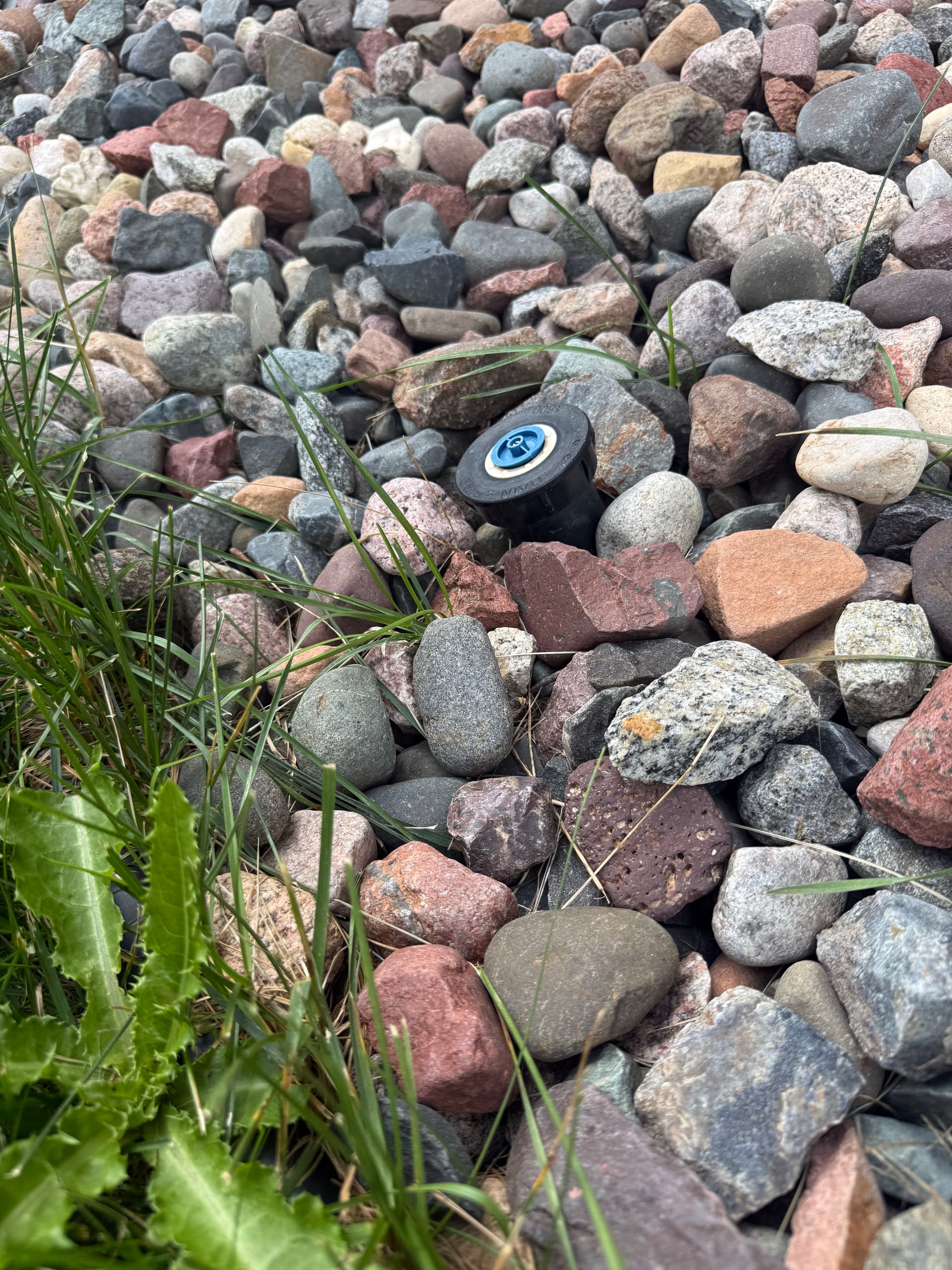 Gallery photos for Crooked Sprinkler Heads Are Costing You More Than You Think: Image #1