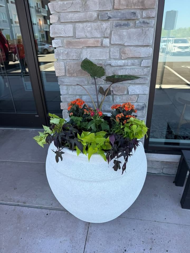 Gallery photos for Seasonal Annual Planting for Commercial Properties and Apartments: Image #1