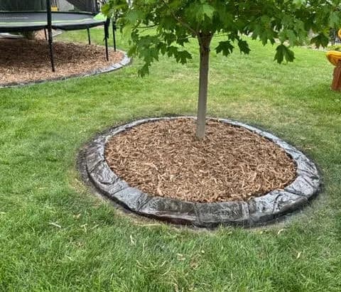 Mulched tree bed with circular stone border in a grassy backyard.