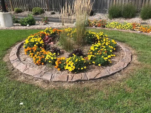 Edge Flower Beds