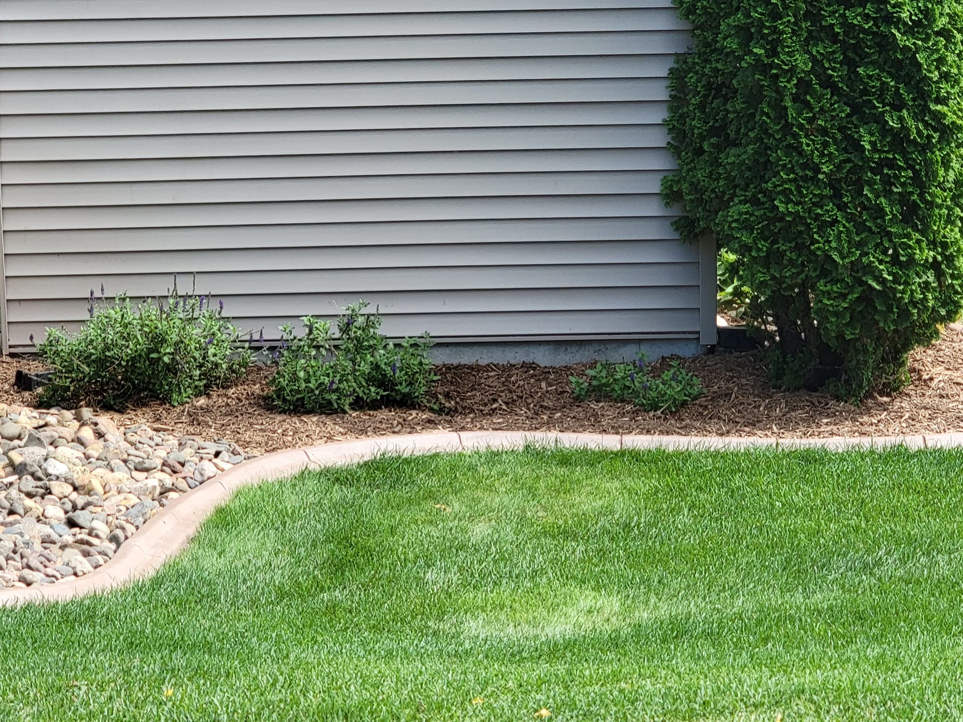 Blog post Black Plastic Edging vs. Concrete Edging: Which Is Right for Your Landscape? image