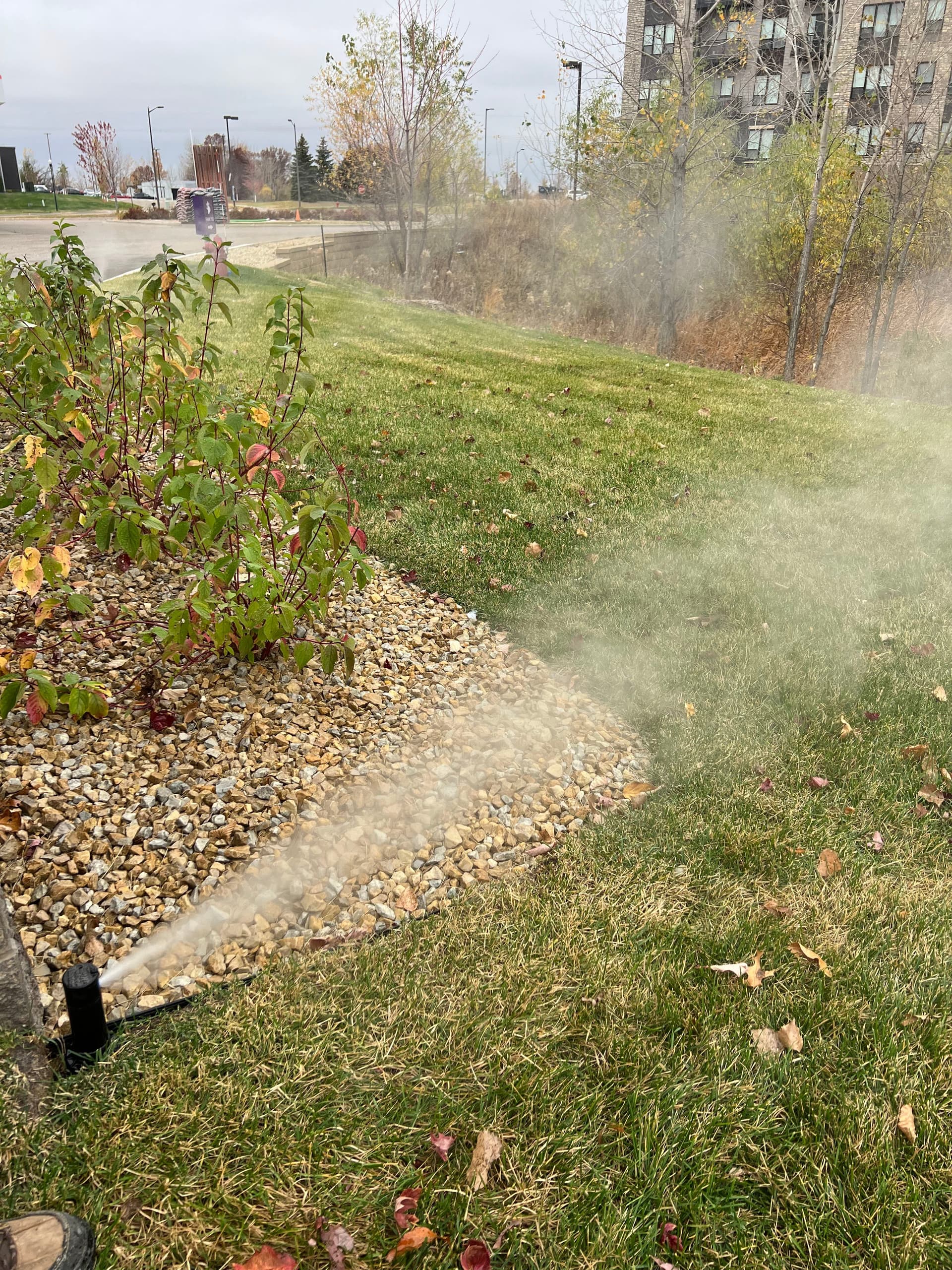 Blog post The Benefits of Irrigation for an Established Yard image