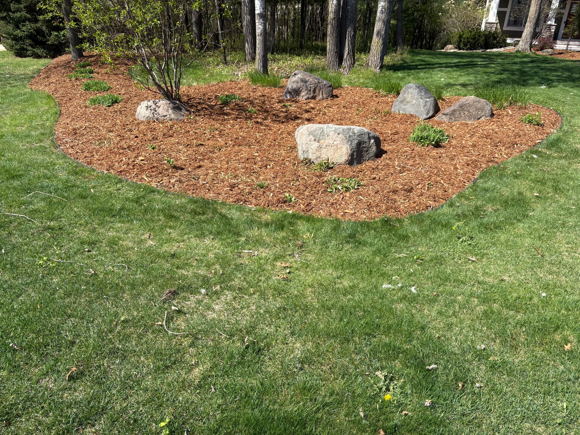 Gallery photos for Fresh Mulch Installation Across Multiple Landscape Beds: Image #1