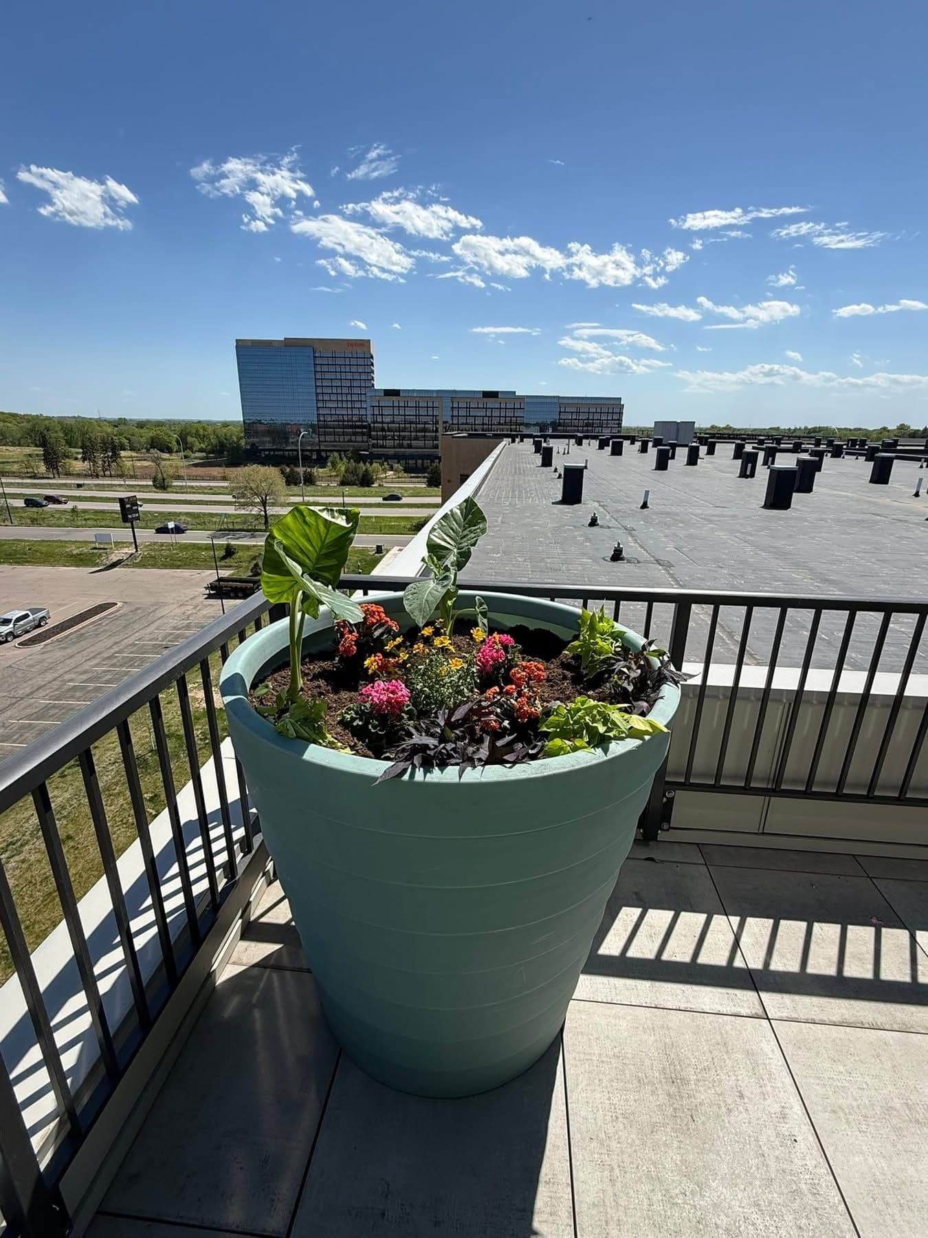 Seasonal Annual Planting for Commercial Properties and Apartments image
