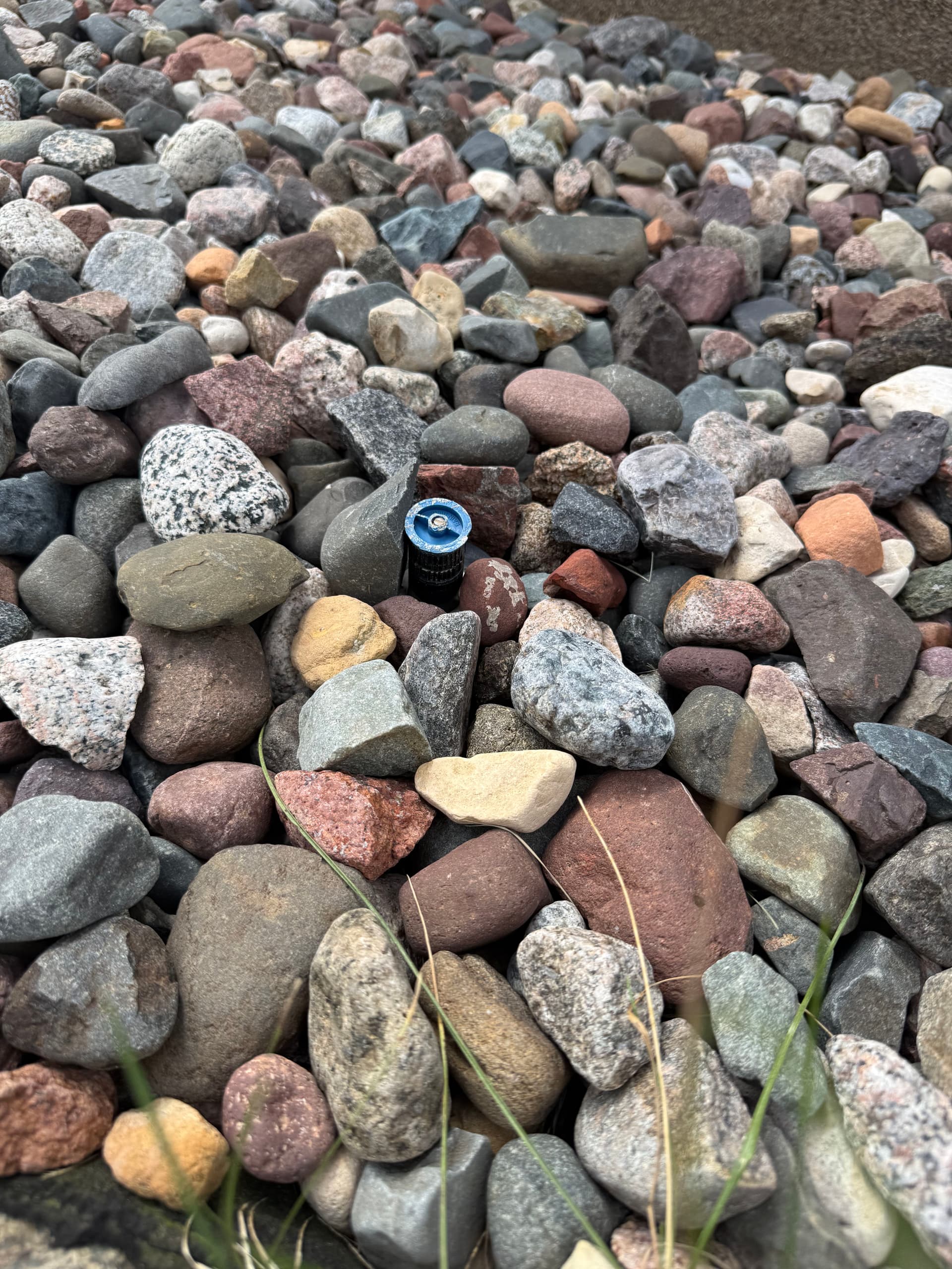 Gallery photos for Crooked Sprinkler Heads Are Costing You More Than You Think: Image #2