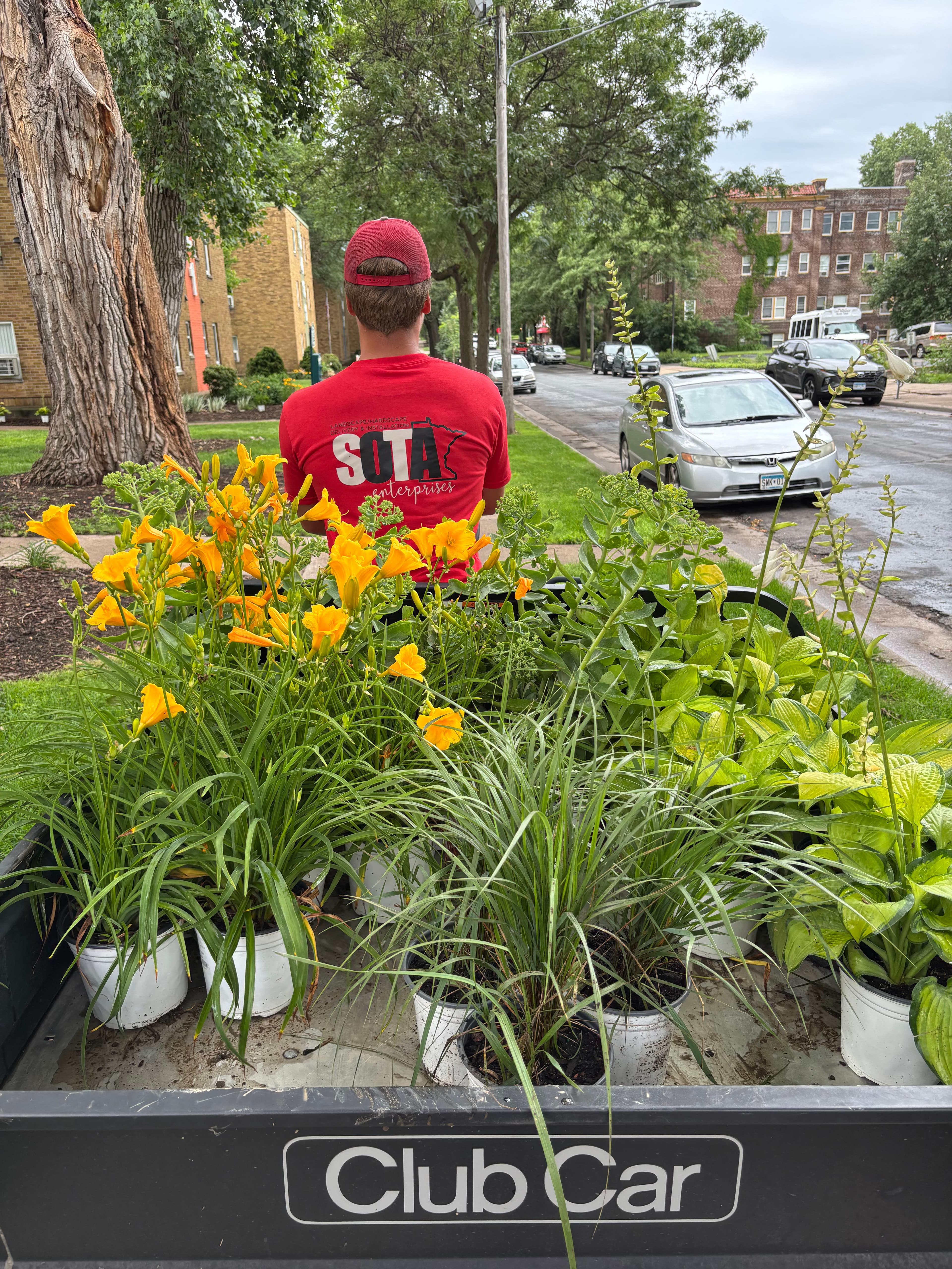 Project Summer Annual Planting Keeps This Commercial Property Looking Sharp image