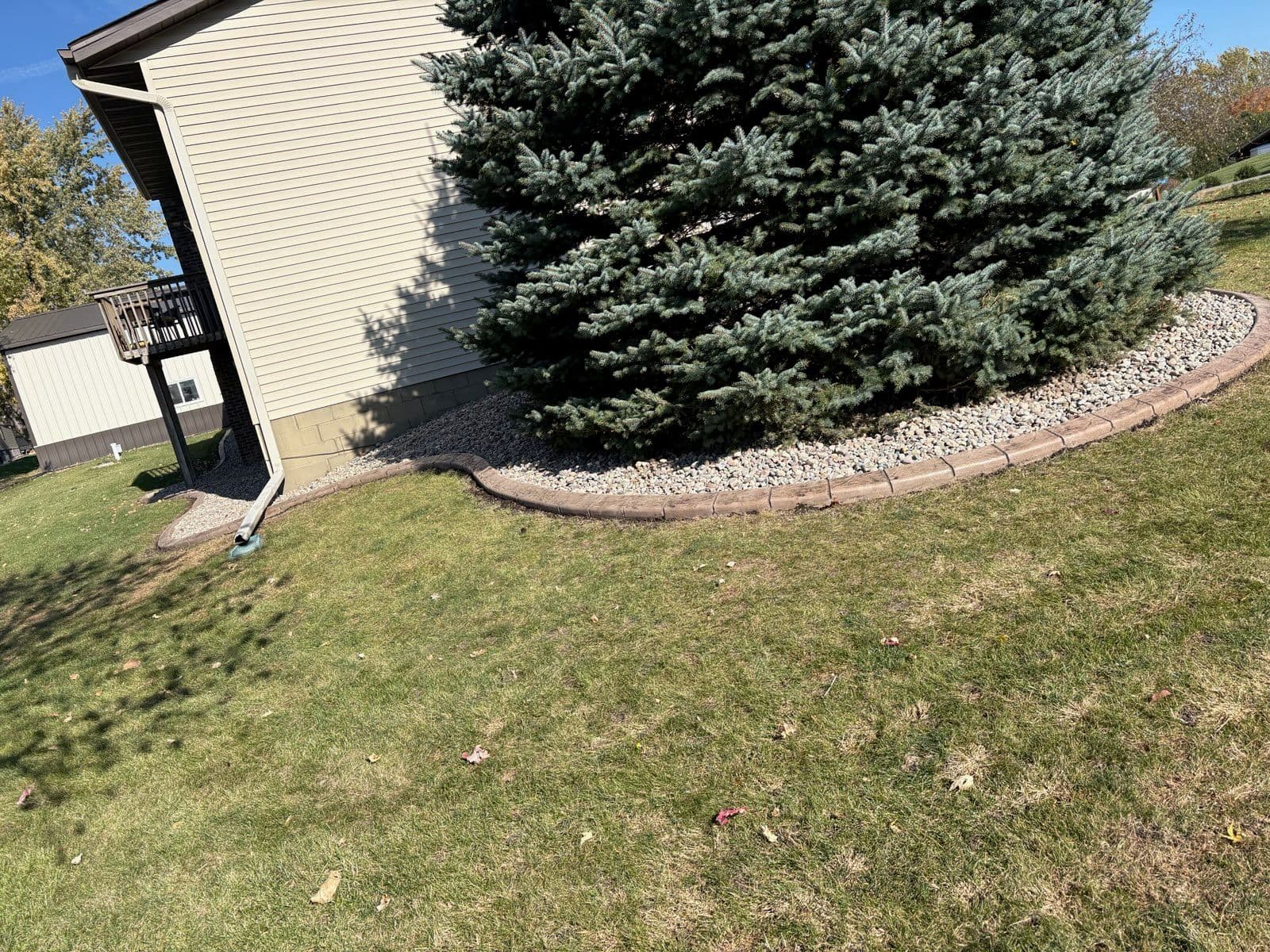 Elegant Tree Border Installation in New Prague image