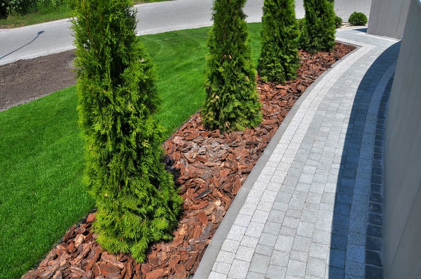 Lush green landscaping with cedar trees and decorative mulch along a curved pathway.