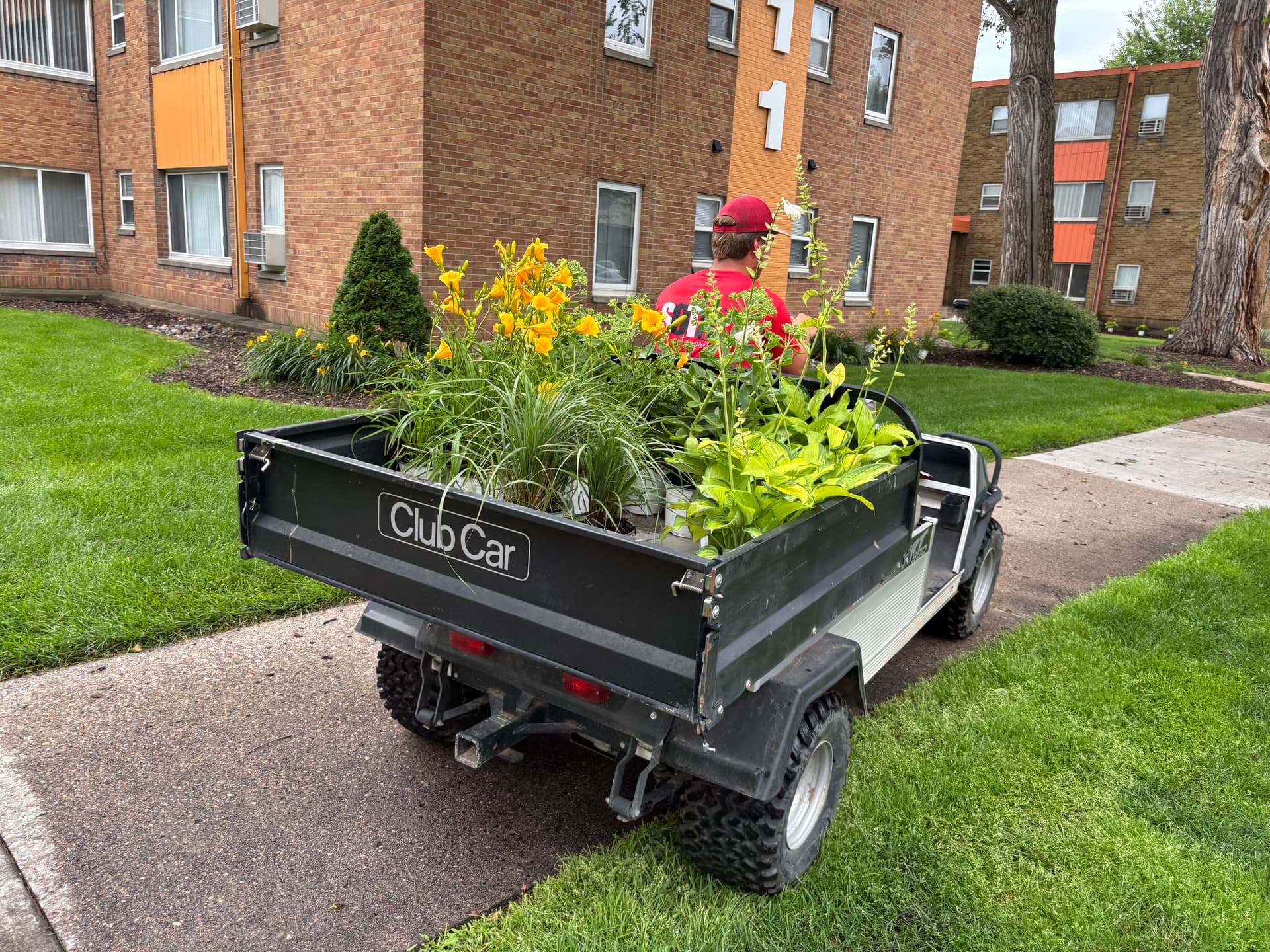 Gallery photos for Summer Annual Planting Keeps This Commercial Property Looking Sharp: Image #2