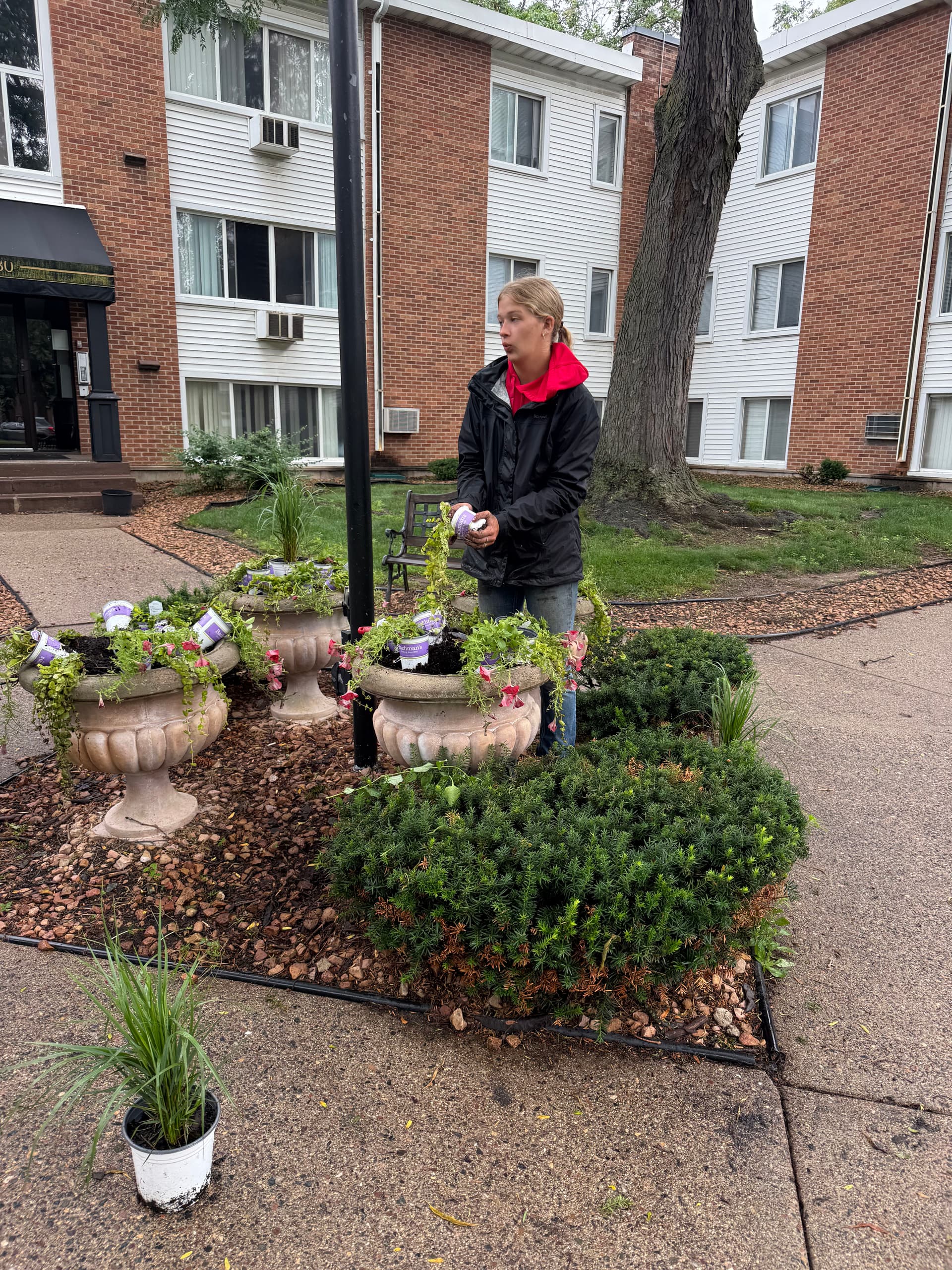 Gallery photos for Summer Annual Planting Keeps This Commercial Property Looking Sharp: Image #6