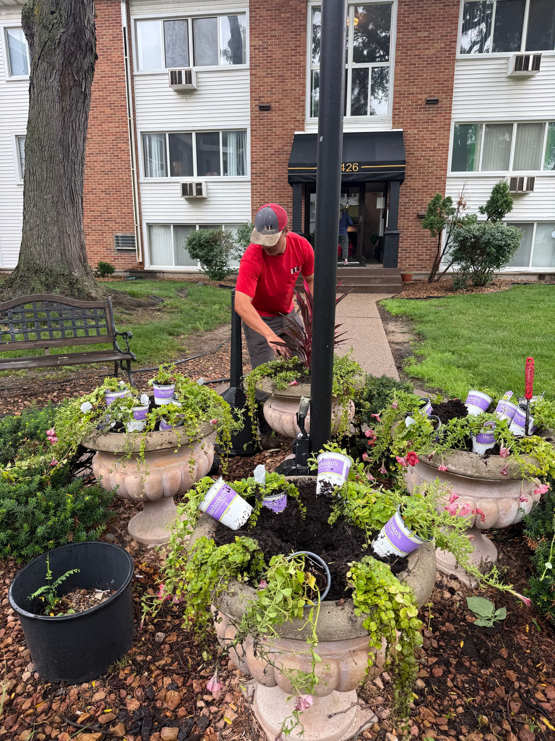 Gallery photos for Summer Annual Planting Keeps This Commercial Property Looking Sharp: Image #5