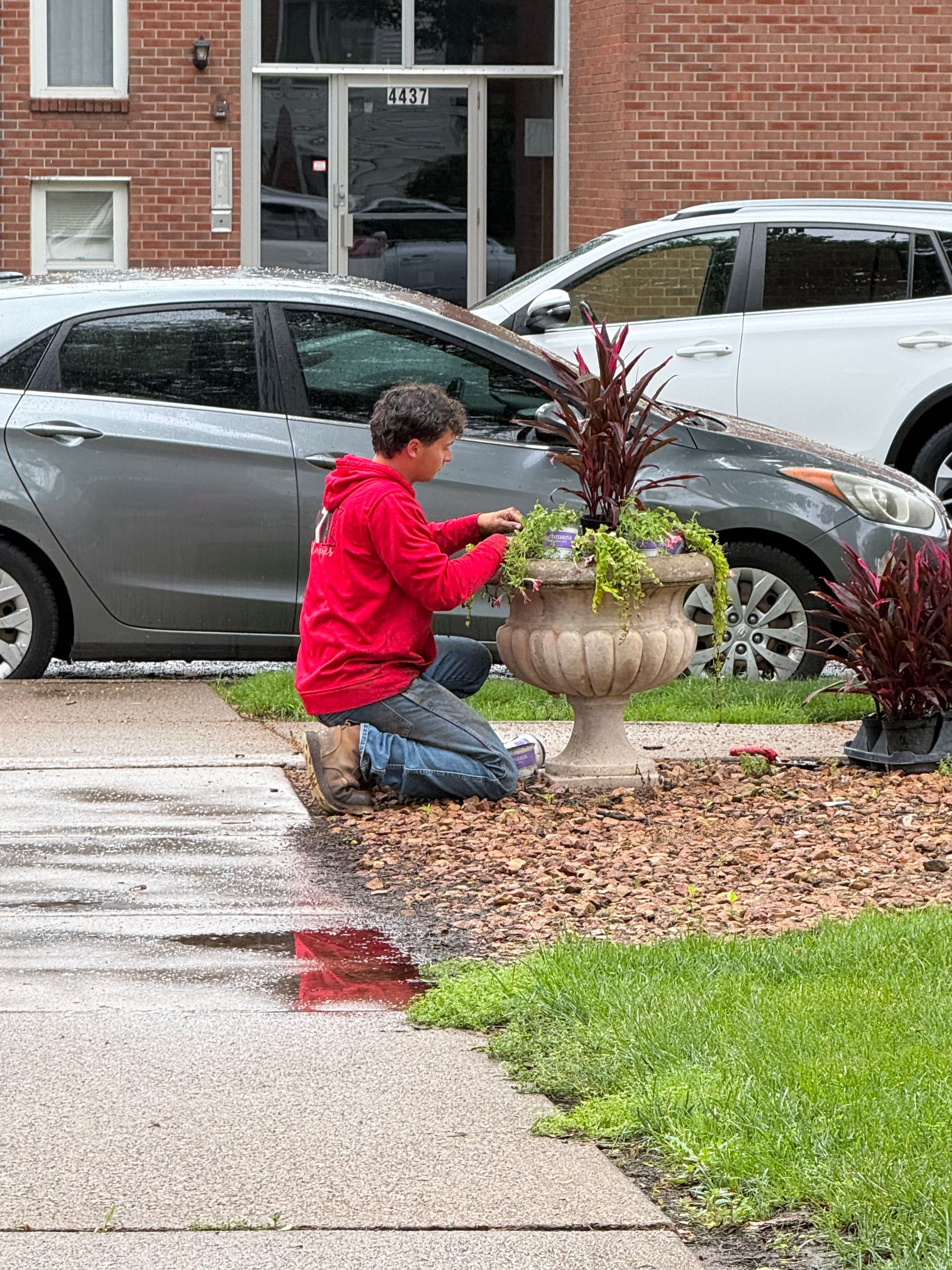 Gallery photos for Summer Annual Planting Keeps This Commercial Property Looking Sharp: Image #1