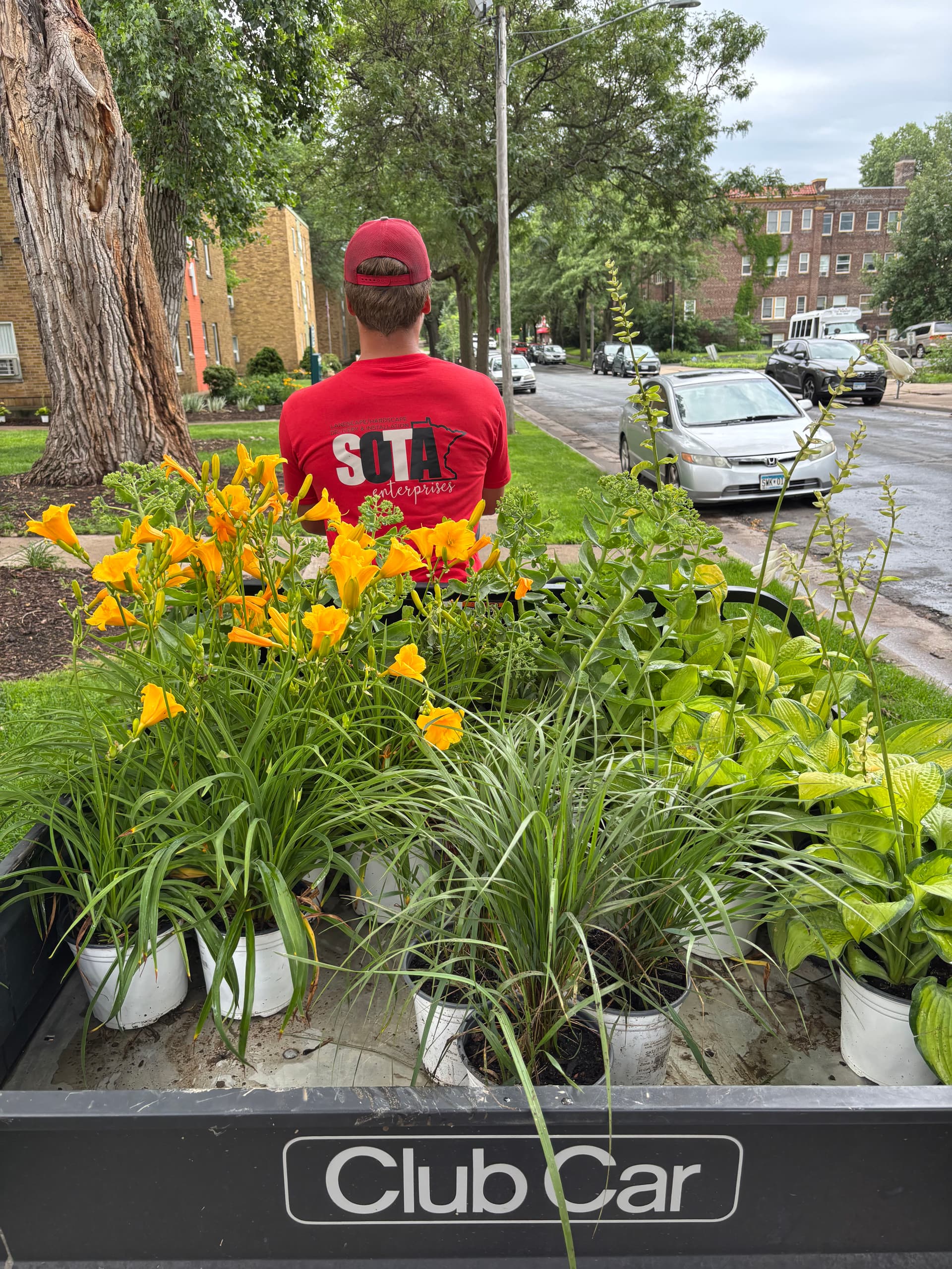 Summer Annual Planting Keeps This Commercial Property Looking Sharp image